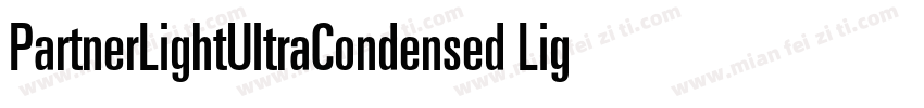 PartnerLightUltraCondensed Light Ul字体转换